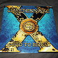 Whitesnake - Tape / Vinyl / CD / Recording etc - Whitesnake - Good to be Bad Double Vinyl