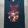 Defeated Sanity - TShirt or Longsleeve - Defeated sanity