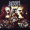 Napalm Death - TShirt or Longsleeve - napalm death - order of the leech