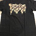 Disgorge(US) - TShirt or Longsleeve - Disgorge(US) Seeking The Divine Order T-Shirt/Logo Front Back Print+Font