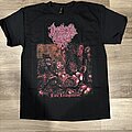 Intestinal Sodomy - TShirt or Longsleeve - Intestinal Sodomy Erotic Exanguination (Album Art) T-Shirt/Back Font