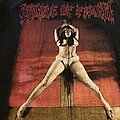 Cradle Of Filth - TShirt or Longsleeve - Cradle Of Filth Desire me like Satan-SOLD