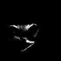 Grausamkeit - Tape / Vinyl / CD / Recording etc - Grausamkeit Angeldestruction LP/Vinyl