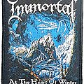 Immoral - Patch - Immoral - at the heart of winter woven patch