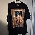 Morbid Angel - TShirt or Longsleeve - Morbid Angel Kingdoms Disdained T Shirt