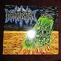 Mortification - Tape / Vinyl / CD / Recording etc - Mortification - Mortification cd