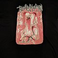 Regurgitation - TShirt or Longsleeve - REGURGITATION Fermenting Vaginal Excrements