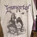 Immortal - TShirt or Longsleeve - At The Heart of Winter