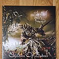 Children Of Bodom - Tape / Vinyl / CD / Recording etc - Children Of Bodom – Relentless Reckless Forever Vinyl Green