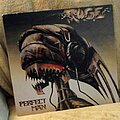 Rage - Tape / Vinyl / CD / Recording etc - Rage "Perfect Man" LP