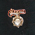 Saxon - Other Collectable - Saxon pin