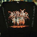 Insanity - TShirt or Longsleeve - official Insanity "Chronicles of the Cursed" longsleeve