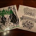 Rottrevore - Tape / Vinyl / CD / Recording etc - Rottrevore 7"s