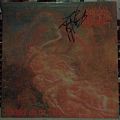 Morbid Angel - Tape / Vinyl / CD / Recording etc - Morbid Angel - Blessed Are The Sick LP