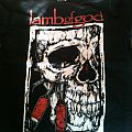 Lamb Of God - TShirt or Longsleeve - Lamb of god tour shirt