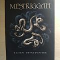 Meshuggah - Patch - Meshuggah - Catch Thirtythree - backpatch