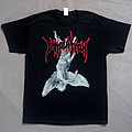 Immolation - TShirt or Longsleeve - Immolation - 2019 - Falling Angel