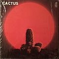 Cactus - Tape / Vinyl / CD / Recording etc - Cactus - Cactus