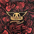 Aerosmith - Tape / Vinyl / CD / Recording etc - Aerosmith - Permanent Vacation