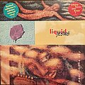 Liquid Jesus - Tape / Vinyl / CD / Recording etc - Liquid Jesus - Pour in the Sky (Promo Copy)
