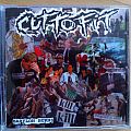 Cut To Fit - Tape / Vinyl / CD / Recording etc - Cut To Fit - Babylon Burns