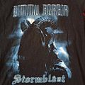 Dimmu Borgir - TShirt or Longsleeve - Stormblåst MMV