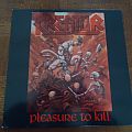 Kreator - Tape / Vinyl / CD / Recording etc - Kreator - Pleasure to Kill LP