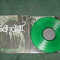 Beherit - Tape / Vinyl / CD / Recording etc - Beherit engram green vinyl