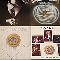 Whitesnake - Tape / Vinyl / CD / Recording etc - Whitesnake vinyl