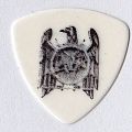 Slayer - Other Collectable - slayer kerry king pick/plectrum