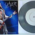 Slayer - Tape / Vinyl / CD / Recording etc - Slayer ‎– World Painted Blood  ‎– XRX 101509 Grey Lim.100ps