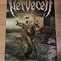 Nervecell - Other Collectable - Nervecell - 'Preaching Venom' poster