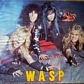 W.A.S.P. - Other Collectable - W.A.S.P. poster