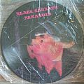 Black Sabbath - Tape / Vinyl / CD / Recording etc - Black Sabbath Paranoid picture disc