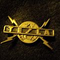 Tesla - Other Collectable - Tesla die cast pin