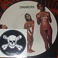 THE DWARVES - Tape / Vinyl / CD / Recording etc - Dwarves "Blood Guts and Pussy" 1990 limited edition picture disc