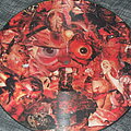 Carcass - Tape / Vinyl / CD / Recording etc - CARCASS "SYMPHONIES OF SICKNESS" picture disc/COMBAT RECORDS/TOY FACTORY...