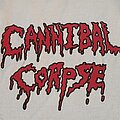 Cannibal Corpse - TShirt or Longsleeve - CANNIBAL CORPSE "Halloween Horror Haunt" 1994 Raglan Tour shirt