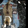 Slayer - Battle Jacket - Marduk vest
