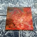 Morbid Angel - Tape / Vinyl / CD / Recording etc - Morbid Angel - Blessed Are The Sick ( Vinyl )