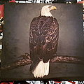 Clutch - Tape / Vinyl / CD / Recording etc - Clutch - Book Of Bad Decisions ( Vinyl )