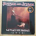 Flotsam And Jetsam - Tape / Vinyl / CD / Recording etc - Flotsam And Jetsam - No Place For Disgrace 2014 ( Halloween Orange Vinyl )