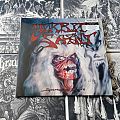 Morbid Saint - Tape / Vinyl / CD / Recording etc - Morbid Saint - Spectrum Of Death ( Vinyl )