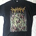 Sepsism - TShirt or Longsleeve - Sepsism Purulent Decomposition