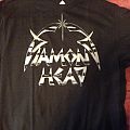 Diamond Head - TShirt or Longsleeve - Diamond Head