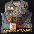 Toxic Holocaust - Battle Jacket - An Overdose of Vest