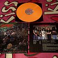 Suffocation - Tape / Vinyl / CD / Recording etc - Suffocation - Effigy of the Forgotten