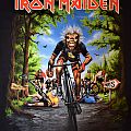 Iron Maiden - TShirt or Longsleeve - Legacy of the Beast France Tour shirt 2018