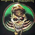 Iron Maiden - TShirt or Longsleeve - Here to Eternity World Tour