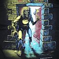 Iron Maiden - TShirt or Longsleeve - Iron Maiden FC t-shirt 2006